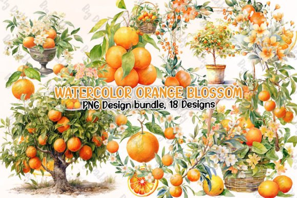 Download Watercolor Orange Blossom Clipart PNG - Orange Collection