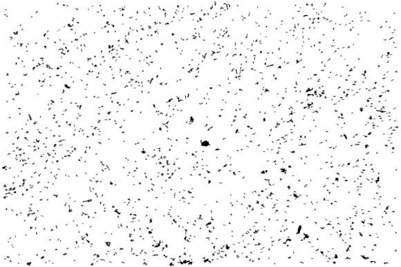 Download Distressed Grunge Texture Background - Grunge texture Collection