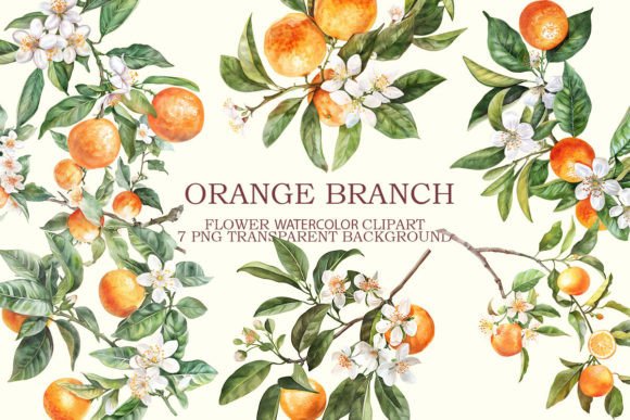 Download Orange Branch Clipart Bundle - Orange Collection