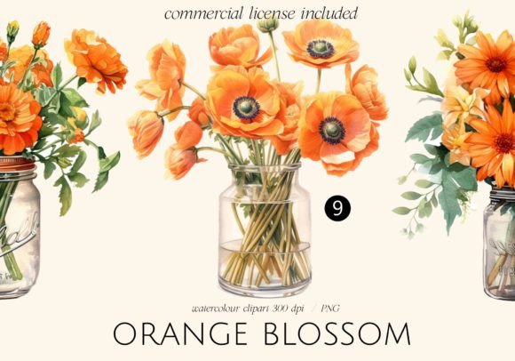 Download Orange Blossom Flowers in Jars - Orange Collection