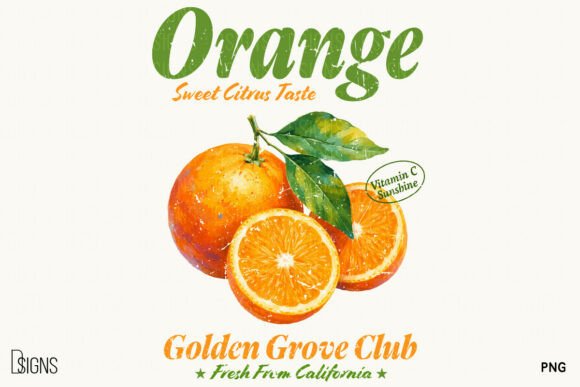 Download Retro Orange Vintage Summer Fruit PNG - Orange Collection