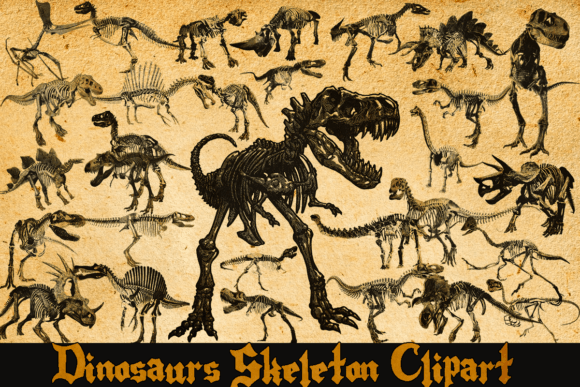 Download Vintage Dinosaurs Skeleton Clipart - Skeleton clipart Collection