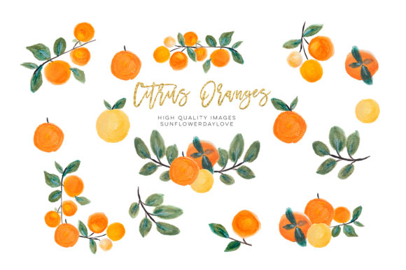 Download Orange Clip Art, Oranges Fruits Clipart - Orange Collection