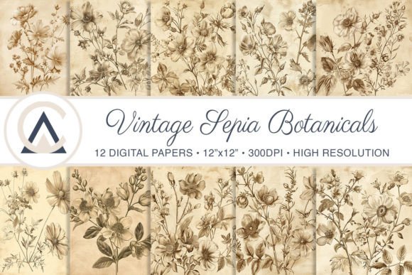 Download Vintage Shabby Chic Botanical Background - Botanical background Collection